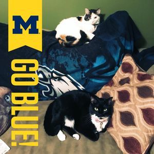 Meet your Posher, Kristy